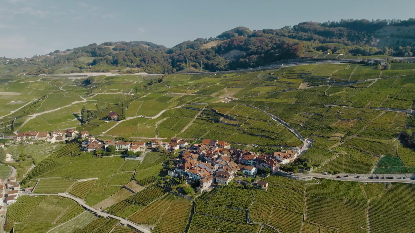 Vineyard Terraces of Lavaux near Montreux